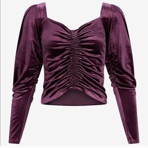 EXPRESS Purple Velvet Rouched Top
